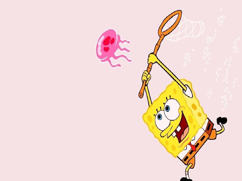 沈阳女性试管医院试管7天hcg多少试管种出蘑菇